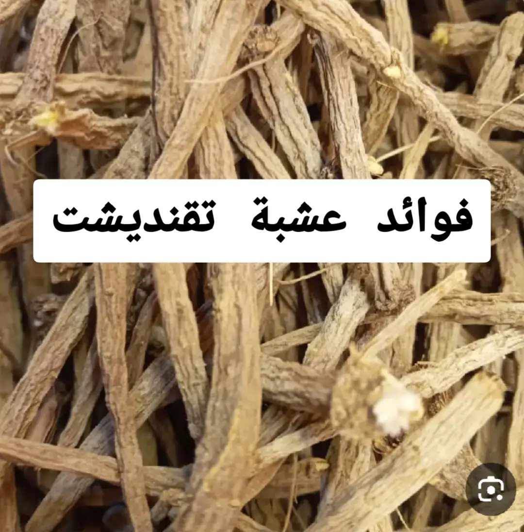 المغرب وجميع الدول العربية والاجنبية 