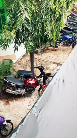 kiukkk#rxking135cc #tigergank #ninjass #grand #nmaxproject 