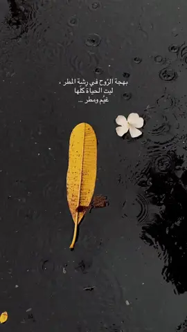 ♥️💙🌨️كل شيء يولد مع المطر #rainyday #follow #explorepage 