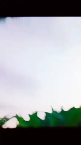 #monohardi#harsingdi #mytiktokid🤘🤟 #nextvideosoon 