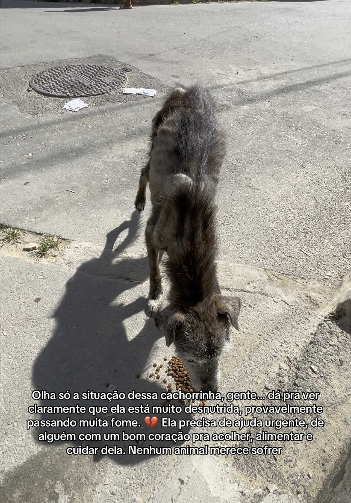 Se eu pudesse ajudaria todos🥺