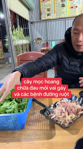 cây mọc hoang chữa đau mỏi vai gáy và các bệnh đường ruột