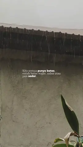 maaf @novbach #maaf #noviabachmid 