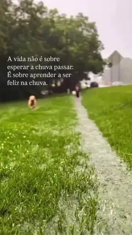 #reflexão #status #paz 