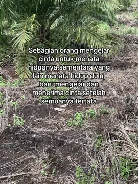 Selamat berjuang fighter semua🔥⚡️📈#sawitontiktok #foryoupage 