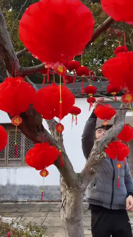 Lồng đèn treo Tết  #tet2026 #longden #trangtritet #phukientet 