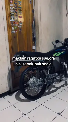 berkah ngempet lue kak🤧#walisongoofficial 