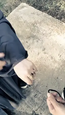 #LIVEFest2025#حبيبي❤️#@حہسہن /ᎻᎯᏚᎯᏁ 🩶🫶🏻 