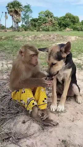 #kesfetteyizzzzz #bogazliyan #kayseri #