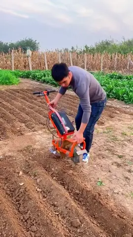 Trợ thủ đắc lực cho nhà nông hiện đại! 🌾 Máy xới đất mini đa năng – xới, bừa, làm cỏ, tơi đất cực nhanh 🌀 Động cơ mạnh mẽ – chạy ổn định, tiết kiệm nhiên liệu 🧰 Kích thước nhỏ gọn – dễ mang ra vườn, ruộng, luống hoa 🌻 Làm đất trồng rau, bón phân, cải tạo vườn đều dễ dàng! #mayxoidat #mayxoidatmini #nongdanviet #maylamvuon