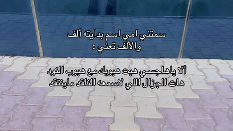#مالي_خلق_احط_هاشتاقات🧢 #explore 