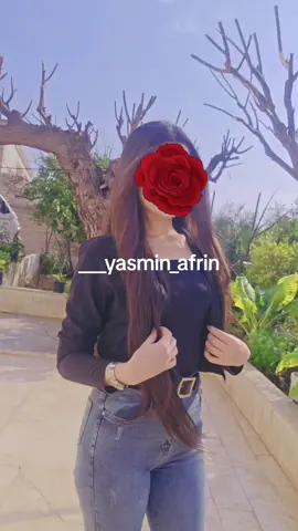 #عفرين_قامشلي_كوباني_درباسيه_ديريك #جنديرس #حلب_الشهباء 