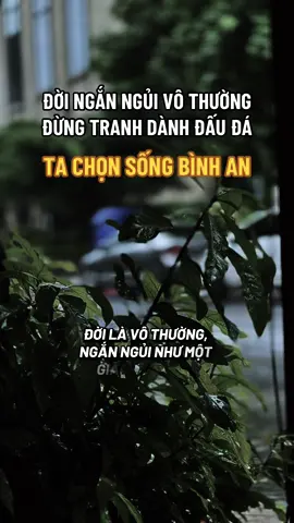 ☘️Đời ngắn ngủi vô thường ta chọn sống bình an#ngộ_để_an #phatphapnhiemmau #cliptrieuview #xuhuongtiktok #trending 