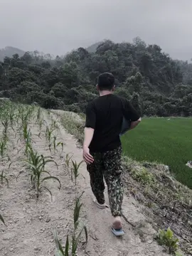 Điệu nhất bản 🤧