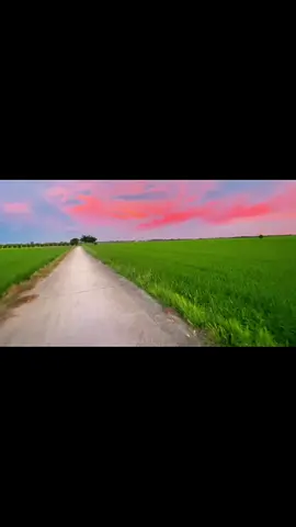 #nhackhongloi #nhacdanca #canhdepmientay #nhachaymoingay #angiang chiều quê thật yên tĩnh , đến đau lòng 😢 tự nhiên nhớ ny cũ  quá 😅😅😅