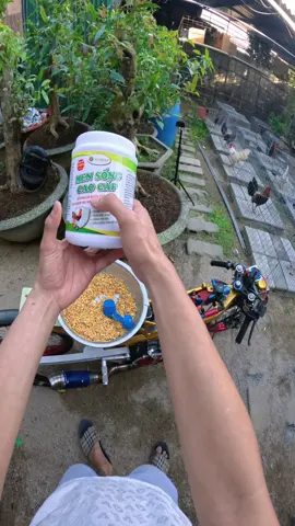 Hôt trợ tiêu hoá 9đ