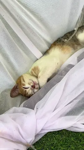 Ở đâu lên đây ngủ ngon lành vậy Ný ???😆😆😆