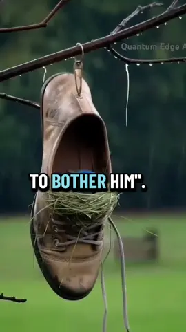 ¿Sabías que el Imam Ali (AS) dijo...? “Incluso si un creyente se escondiera en un agujero de ratón, Dios enviaría algo para probarlo.” Cada dificultad lleva consigo una misericordia secreta. 💫 Dios prueba a quienes ama, no para castigarlos, sino para acercar sus corazones a Él. 🌷 Porque en cada prueba hay sabiduría, y en cada lágrima, una puerta hacia Su cercanía. 🤍 📖 Mishkat al-Anwar fi Ghurar al-Akhbar, Sección 7, Capítulo 5, Hadiz 1684 #shia #imamali #ahlulbayt 