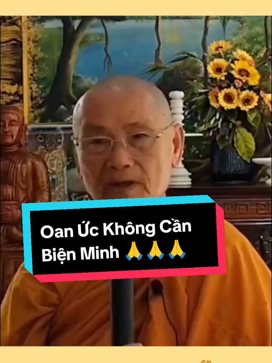 🙏 Oan Ức không cần biện minh 🙏🙏🙏 #thayvienminh #lactiengarden #songtronven #phatgiaonguyenthuy #phatphapnhiemmau 