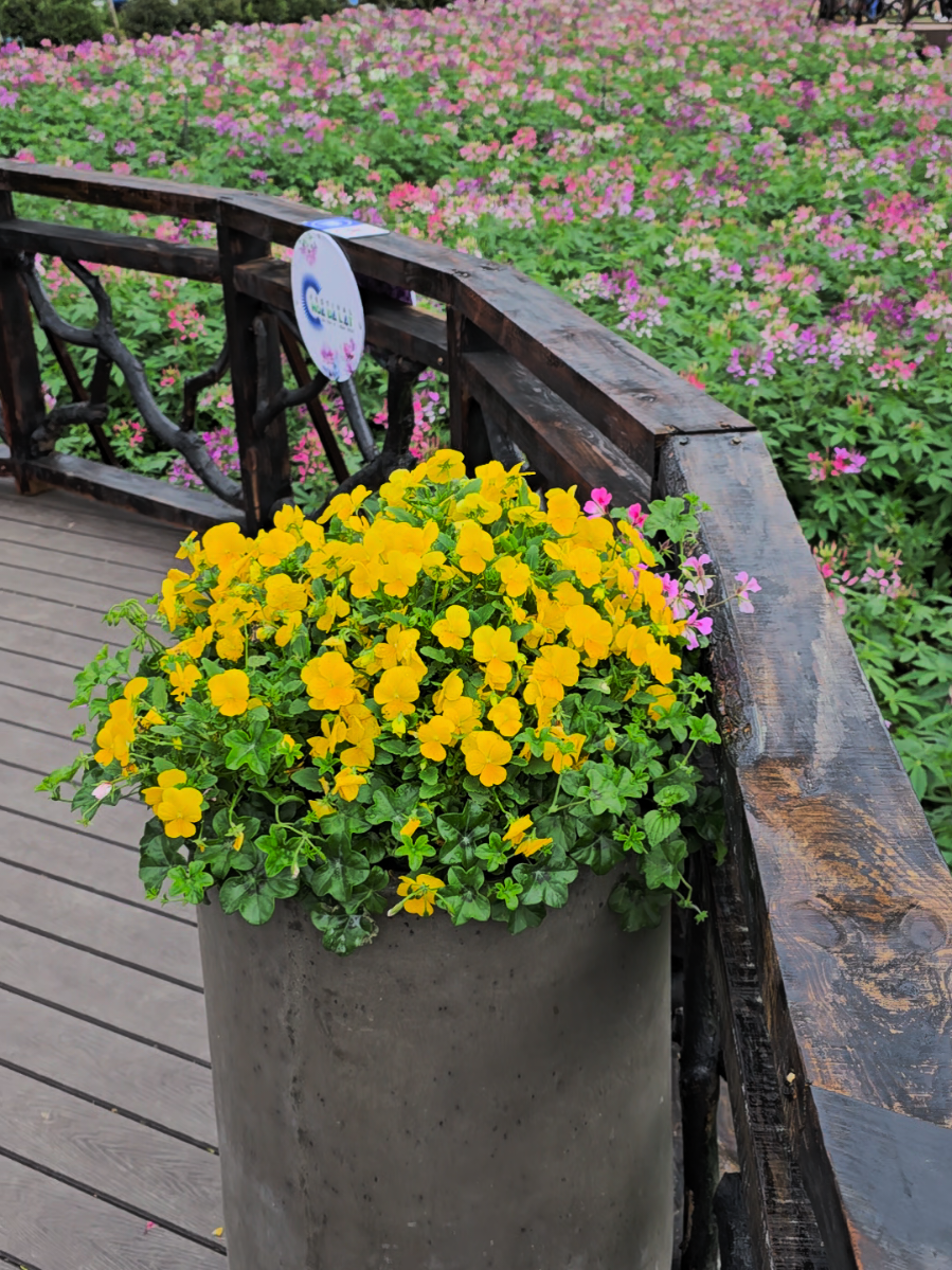 Hành trình mẹ bầu tập xây kênh: Ngày 2 – vẫn đang học từng chút một! #tapxaykenh  #xaykenhtiktok #tapxaykenhtiktok #xaykenh #nguoimoixaykenh 