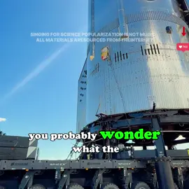 What exactly is musk testing during the starship test fight #education #usa_tiktok #popular #technology 