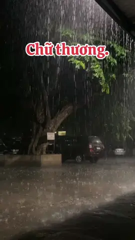 Trong suốt cuộc đời, có lẽ chữ 