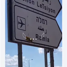 #רמלה_עיר_הפשע🔱💶 #רמלה_לוד_רהט_טייבה #🖤🖤 