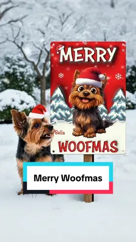 Unlock festive cheer with Santa Paw's merry 'woofmas' surprise, a perfect gift for pet lovers!🐾🎅