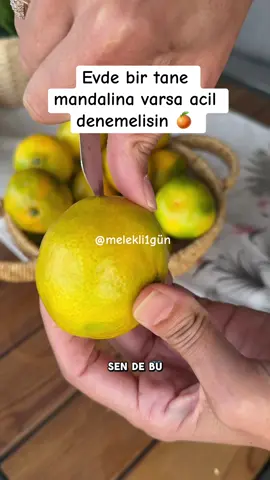 Kokusunu anlatamam ama gösterebilirim  Evde doğal bir mum yakmak ister misiniz? 🕯️ Ben bugün sadece bir madalina biraz zeytinyağı ve bir çakmak kullanarak pratik bir mum yaptım. Elektrik kesintilerinde, loş ışık istediğiniz anlarda ya da acil durumlarda çok işe yarıyor. Deneyince ne kadar kolay olduğunu göreceksiniz! 🍊✨ Daha fazla pratik bilgi için takipte kalın 💚 @melekli1gün #pratikbilgi #evbilgileri #kendinyap #diyfikirleri #doğalmum             