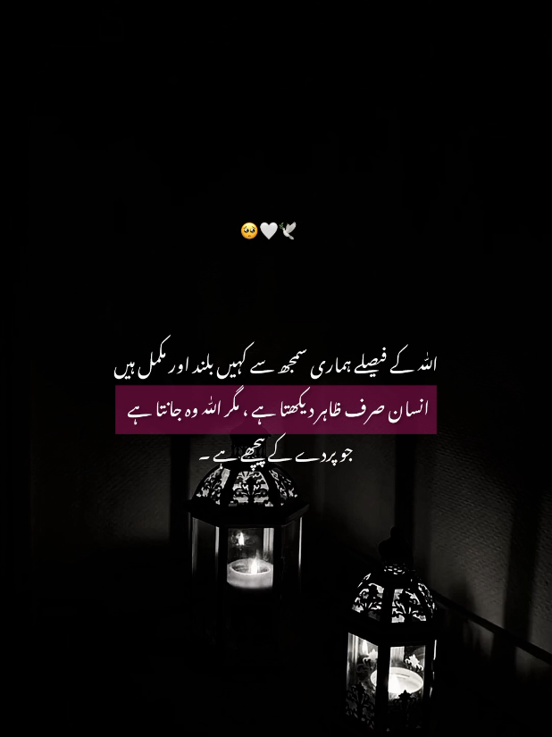 🥺💗 #fyp #foryou #viral #sportsontiktok #creatorsearchinsights 