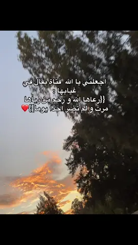 #algeria🇩🇿 #viral #fyyyp #pourtoii #foruyou 