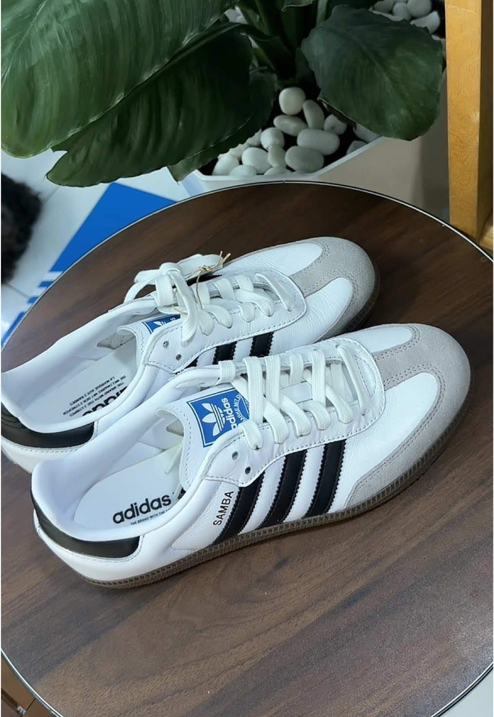 1 mã giày #adidas không bao giờ sale 😍 #samba #unboxing 