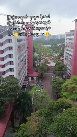 #မိုးမင်းမာန်တင်းရွာမလိုလိုနဲ့ညှိုးဟန်ဆင် 😔#အိမ်လွမ်းသူအဖို့ကဒီရာသီကြီးနဲ့တကယ်ရူးစေတယ်😔#မြင်ပါများပီးချစ်ကျွမ်းဝင်အောင်လို့🥰🤭 #tiktokindia #စင်္ကာပူရောက်မြန်မာမလေး🖤👩 