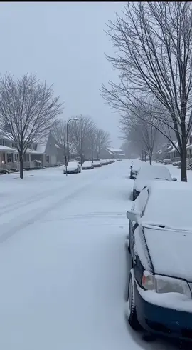Keep Frost Off Your Windshield This Winter #winterized Windshield Snow Cover #letitsnow #cars #snow 