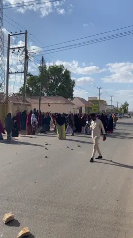 Figradada falanqee #viral #lafahore #😭🥹😭🥹😭😩😩😭🥹🥹😭😭🥹😭 