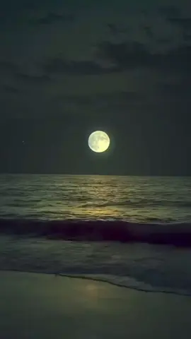 🤍🦅 #story #fouryou #story #fypage #CapCut 