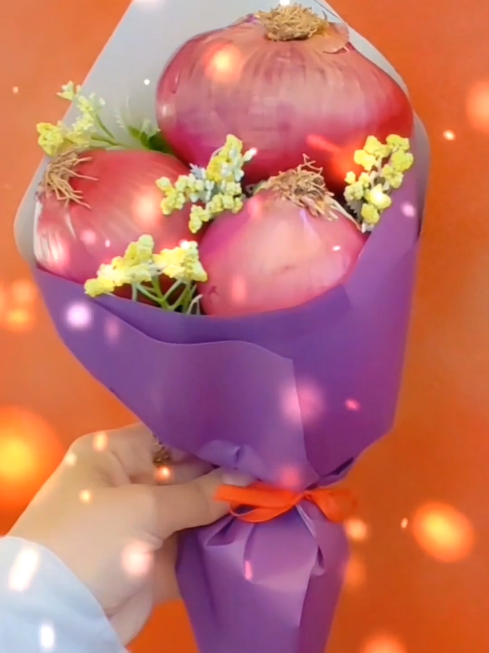 البوكي المبكي 🤣🤣