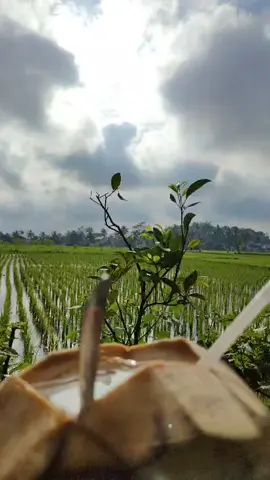 “Tak perlu kembali”#fyppppppppppppppppppppppp#ffyp 