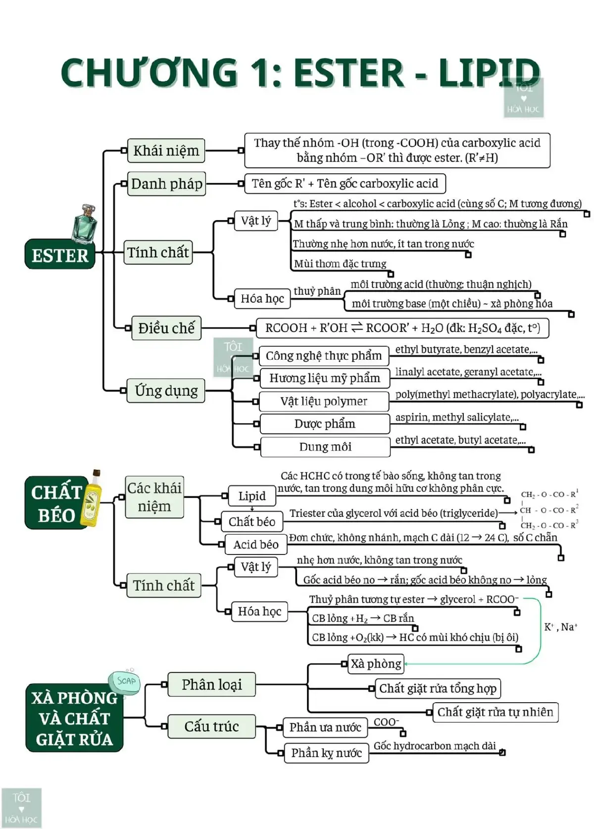 h Hóa cũng chỉ là Hóa thôi😊 #TYHH#hoahoc#aofer