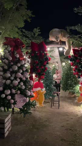 Quán trang trí NoEL đẹp và đầu tư nhất lúc này tại Hải Hậu #xh #xuhuong #CapCut #xuhuongtiktok #haihau 
