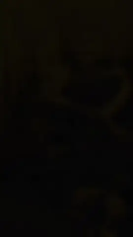 #trenggonowulan #twsakjoseee #keseniantradisional🇮🇩 #jarankepangtemanggung #singobarong 