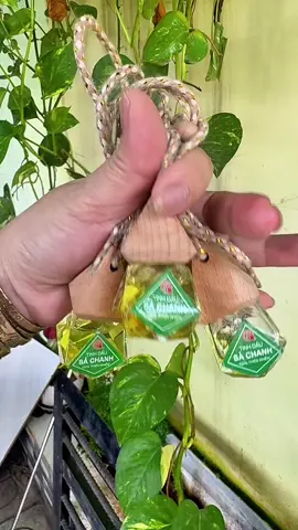 Tinh dầu sả chanh #tinhdautreoxe #tinhdausachanh #sachanh 