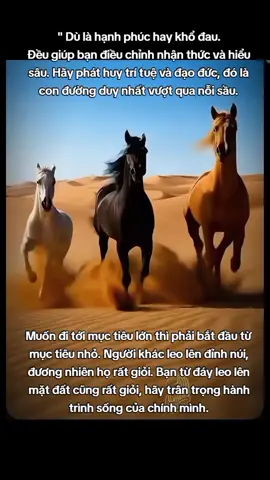 Chúc bạn thành công 🔥🔥