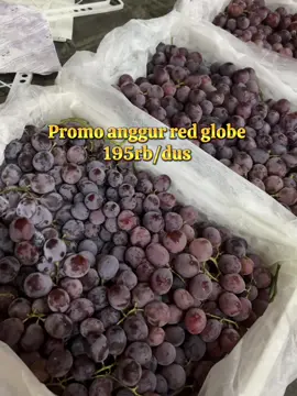 Order:082210796376 Maps:Agus grosir Alfresh Ciledug Tangerang 