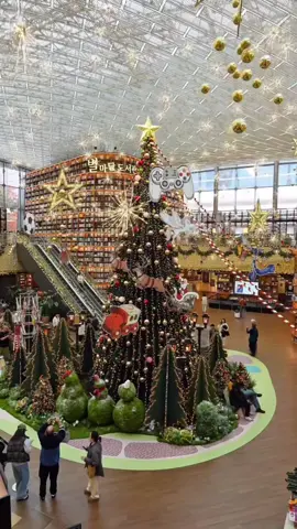 กรี๊ดดด ห้องสมุด Starfield ที่ Coex Mall  ต้นคริสต์มาสมาแล้ววววว ~ ปีนี้จัดน่ารักมาก🎄🧸 เฟสทีฟเฟสใจแบบฉ่ำ ไปกันได้ค่า 🎄🎅 ธีมปีนี้คือเทศกาลคริสต์มาสที่เปิดออกมาจากหนังสือ  ต้นคริสต์มาสยักษ์สูง 10 เมตร สวยมาก มียาวๆตั้งแต่ วันนี้ 13 พ.ย. 68 - 31 ม.ค. 69 เวลา 10.30 - 22.00 ที่นี่คนเยอะมากทุกปี อยากเจอคนน้อยๆต้องรีบไปตั้งแต่ห้างเปิด หรือไปตอนห้างใกล้ๆปิดนะ การเดินทาง รถไฟใต้ดินสถานี Bongeunsa ทางออก 7 หรือสถานี Samseong ทางออก 6 #รีวิวเกาหลี #เที่ยวเกาหลี #korea #visitkorea 