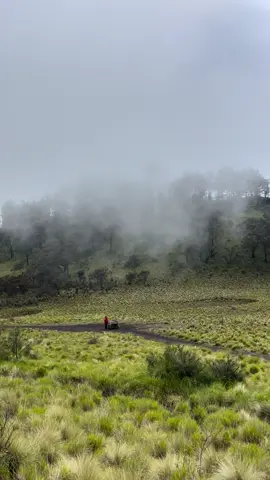 masa tempat seindah ini cuman liat di sosmed aja?? #gupakanmenjangan #gununglawu #lawuviacetho #lawumountain #pendaki 
