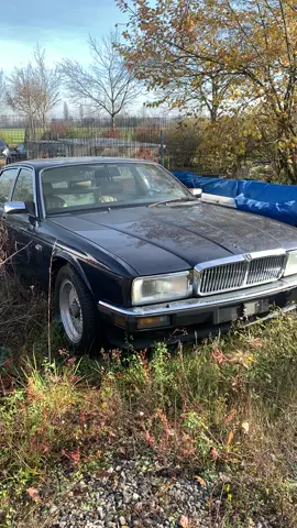 #tv #dmax #fürdich #jaguar #xj6 #xj6oficial #oldtimer #carlife #carlifestyle #carlifestyle🥵🥵🥵🥵🥵 #auto #verkauf #katze #v6 #ps #classic #classiccar 