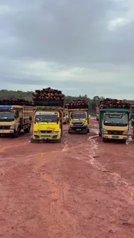 Driver sawit punya cerita#masukberanda #fypシ゚ 