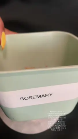 🌿 Rosemary is that girl A powerful herb for protection purification and loyalty and yes she can step in for ANY other herb when you’re in a pinch 💨✨ 🕯️ Burn rosemary to clear your space 🛁 Add it to your bath to boost your spirit 🛏️ Keep it under your bed to keep love faithful 💫 She even works as a stand in for frankincense Tag someone who needs this reminder in their spiritual toolkit 💖 #MsKurvyGirlBotanica #BaytownSpiritualStore #RosemaryMagic #HerbalProtection #SpiritualBaths            www.mskurvygirl.com
