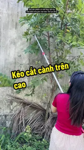 Tết này tỉa cây gọn gàng, sân vườn sạch đẹp với kéo cắt cành trên cao ✂️ Cán dài, lưỡi bén – đứng đất vẫn cắt được ngọn cao an toàn, nhẹ tay 🌳 #onggiareview #keocatcanh #dungcuhoavien #reviewTikTok #hangtotgiatot 👉 Giá sản phẩm có thể thay đổi tùy thời điểm khuyến mãi trên TikTok Shop